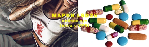бошки Семилуки