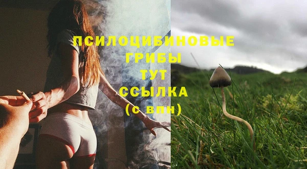 шишки Баксан