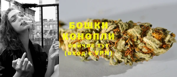 шишки Баксан