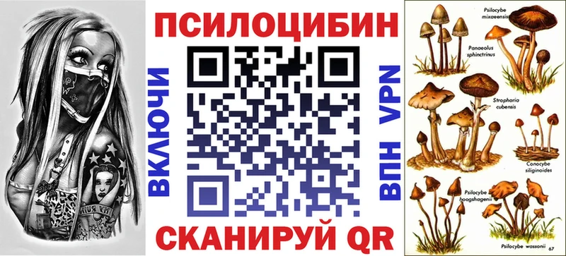 Галлюциногенные грибы Psilocybe  где можно купить   Нея 